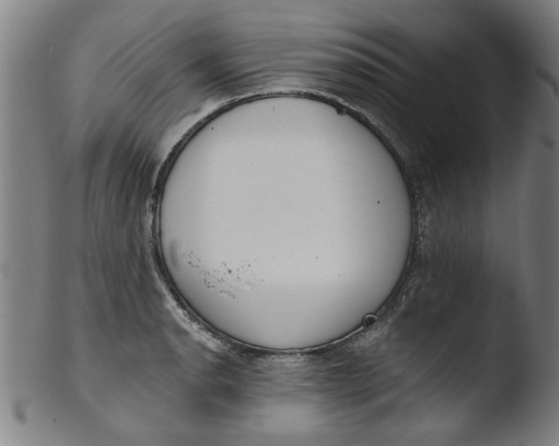 X0000103421134200809261701
