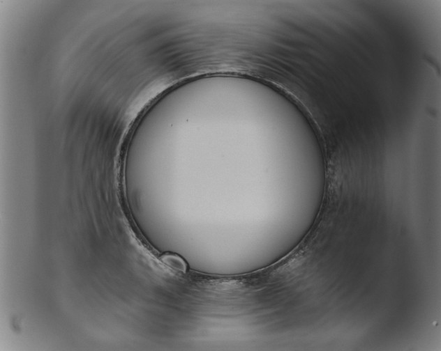 X0000103421135200809261701
