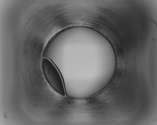 X0000103421136200809261701