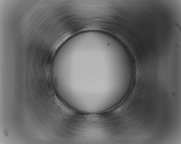 X0000103421137200809261701