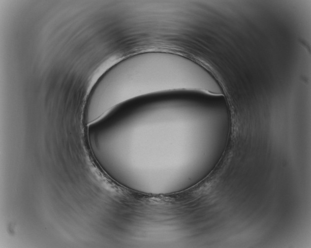 X0000103421138200809261701