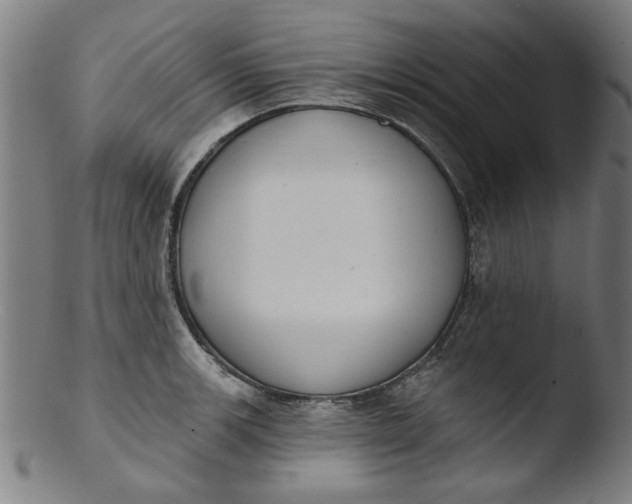 X0000103421139200809261701