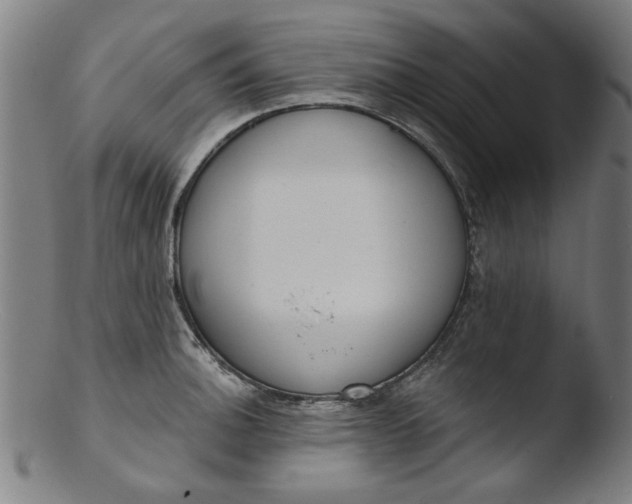 X0000103421140200809261701