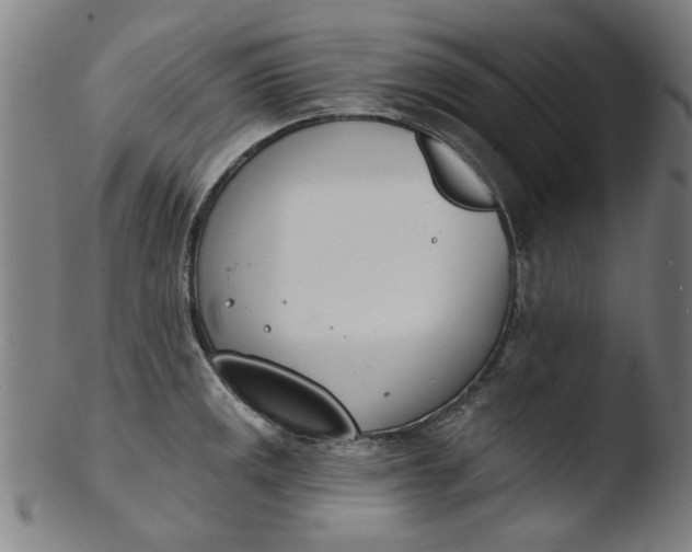 X0000103421141200809261701