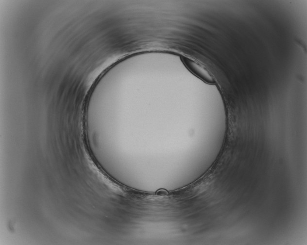 X0000103421142200809261701