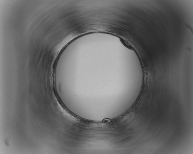 X0000103421143200809261701