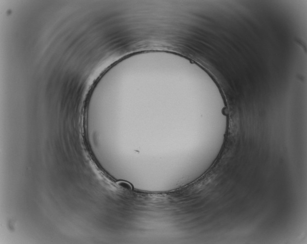 X0000103421144200809261701