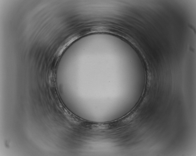 X0000103421145200809261701