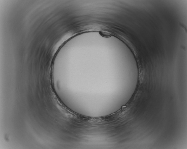 X0000103421146200809261701