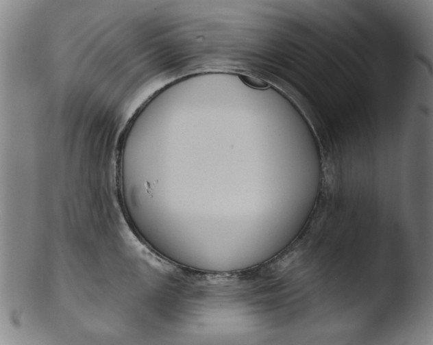X0000103421147200809261701
