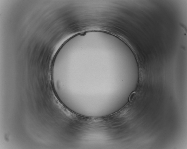 X0000103421148200809261701