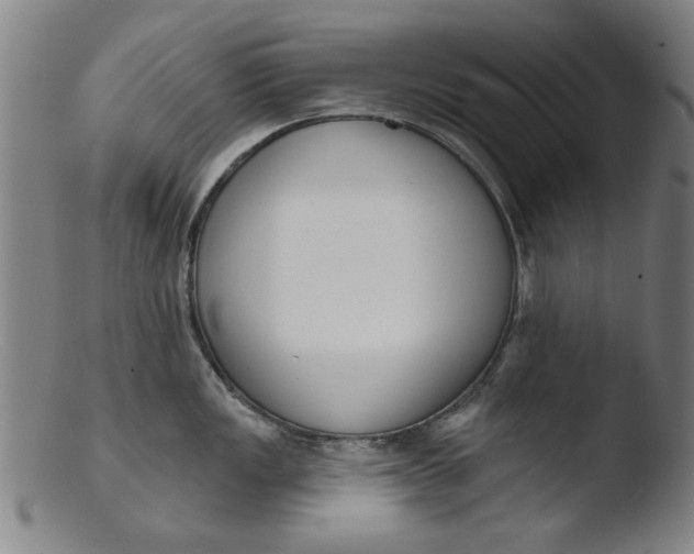 X0000103421149200809261701