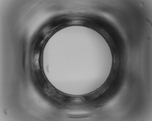 X0000103421150200809261701