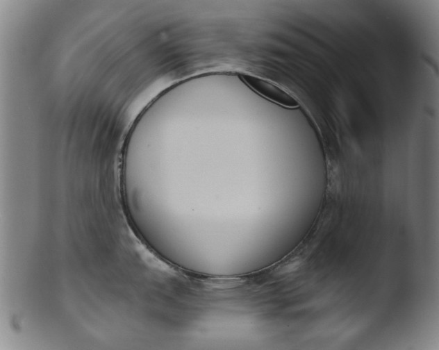 X0000103421151200809261701