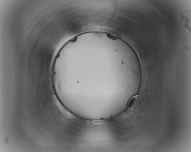 X0000103421152200809261701