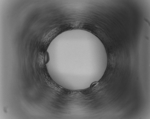 X0000103421154200809261700