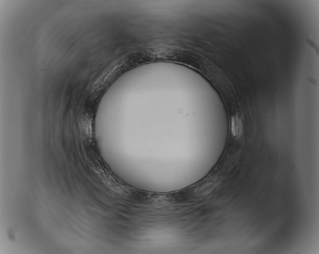 X0000103421155200809261700