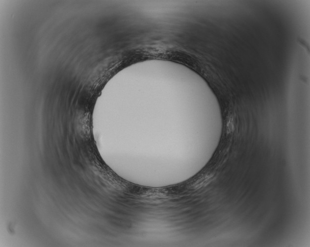 X0000103421156200809261700