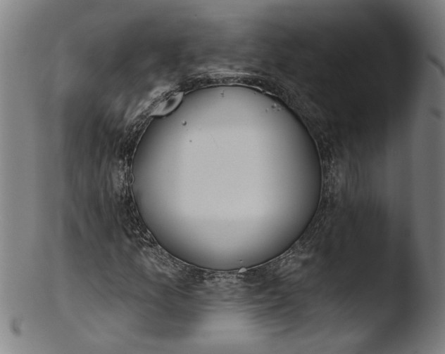 X0000103421157200809261700