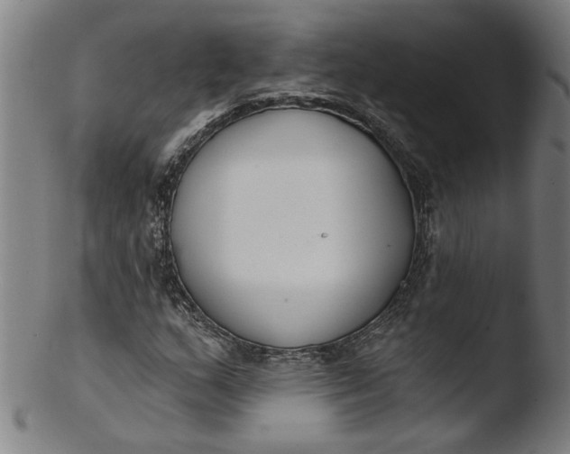 X0000103421159200809261700
