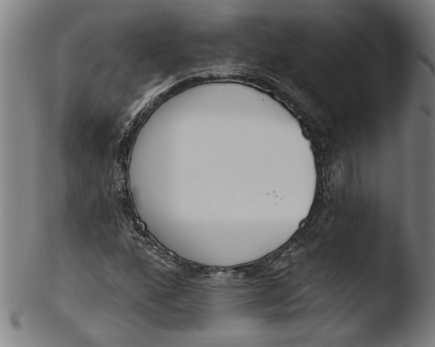 X0000103421160200809261700