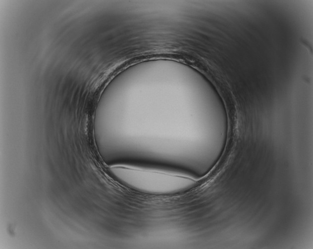 X0000103421161200809261700
