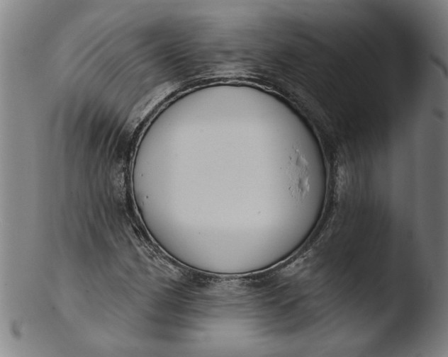 X0000103421162200809261700