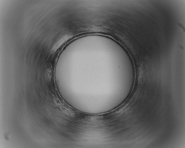 X0000103421163200809261700