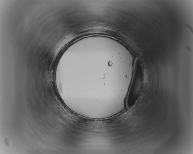 X0000103421164200809261700