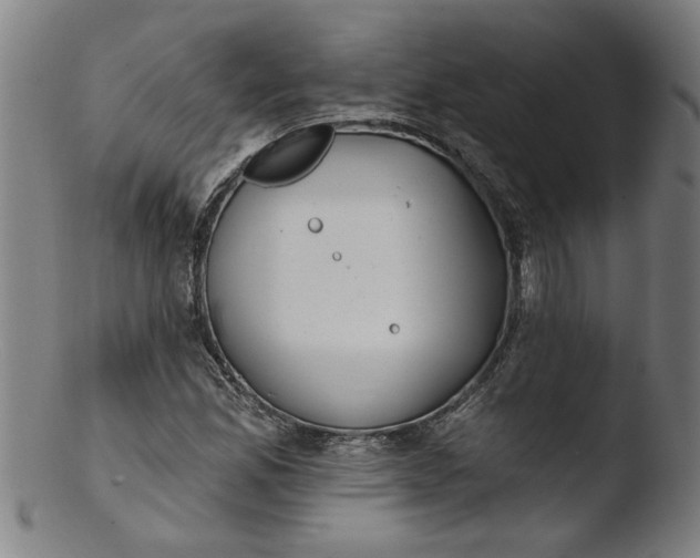 X0000103421165200809261700