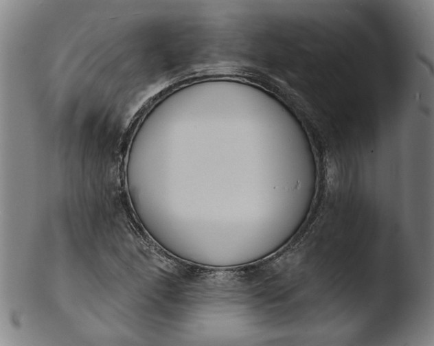 X0000103421166200809261700