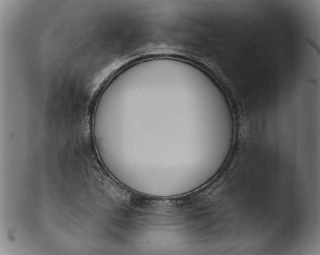 X0000103421167200809261700