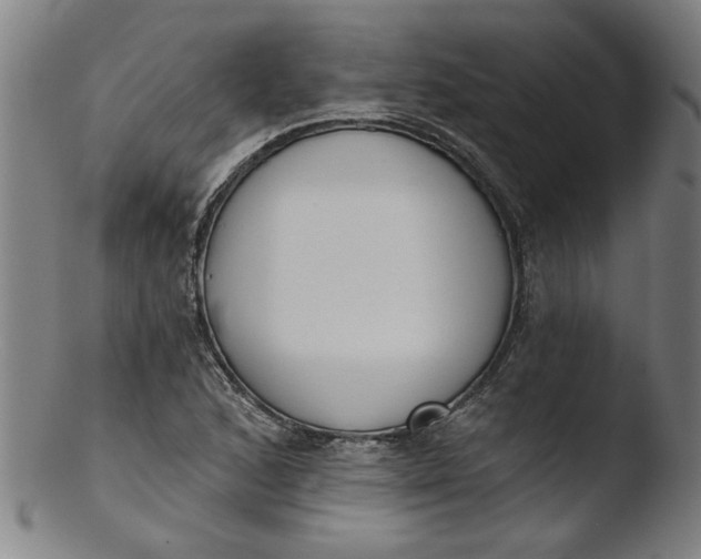 X0000103421168200809261700