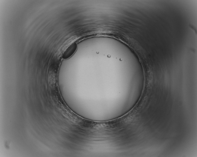 X0000103421169200809261700