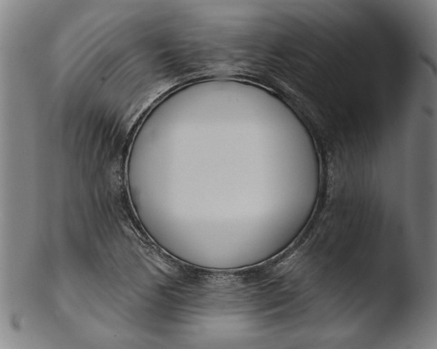 X0000103421170200809261700