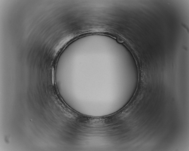 X0000103421171200809261700
