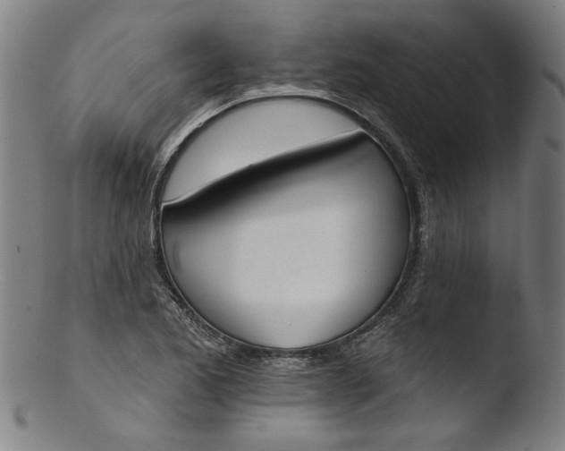 X0000103421173200809261700