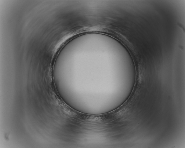X0000103421174200809261700