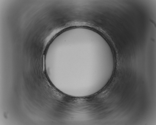 X0000103421175200809261700