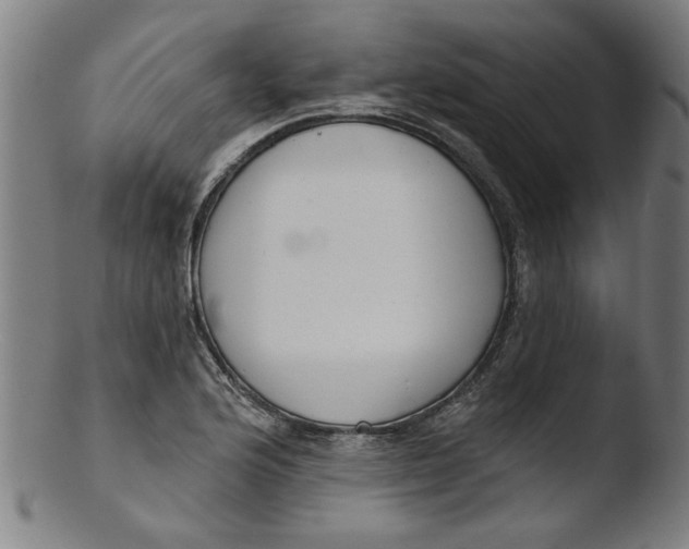 X0000103421176200809261700