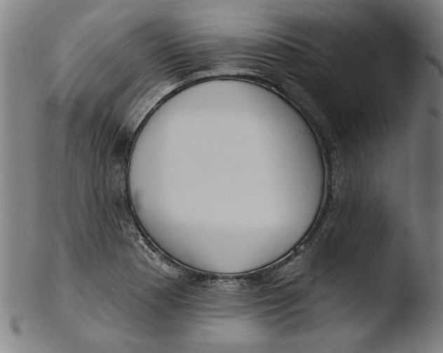 X0000103421177200809261700