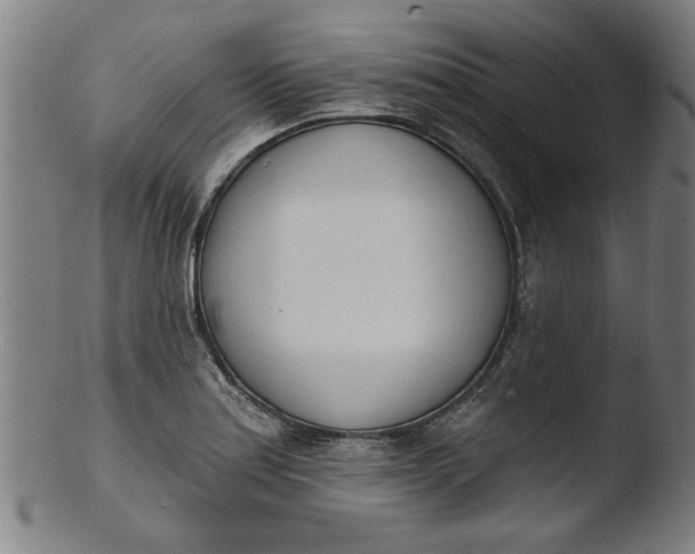 X0000103421179200809261700