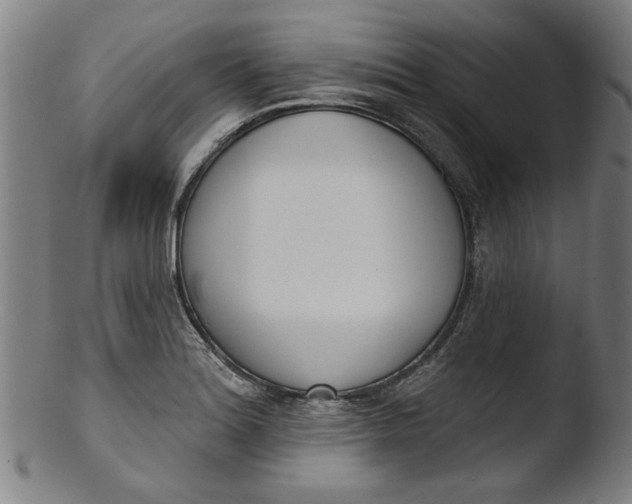 X0000103421180200809261700