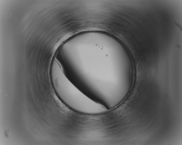 X0000103421181200809261700
