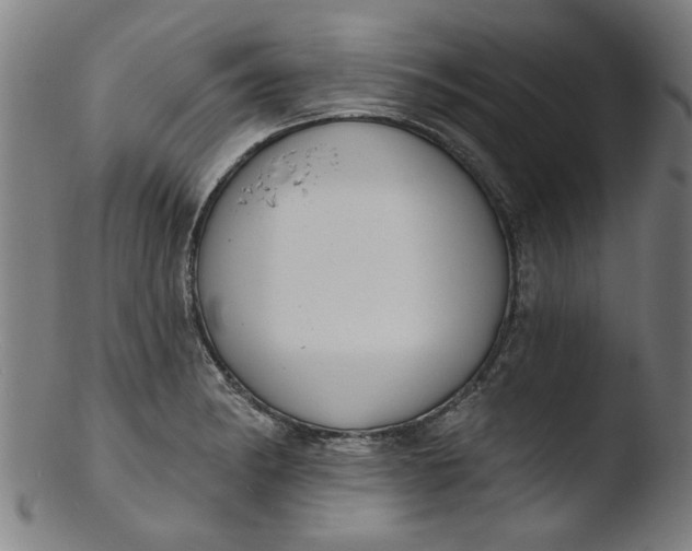 X0000103421182200809261700