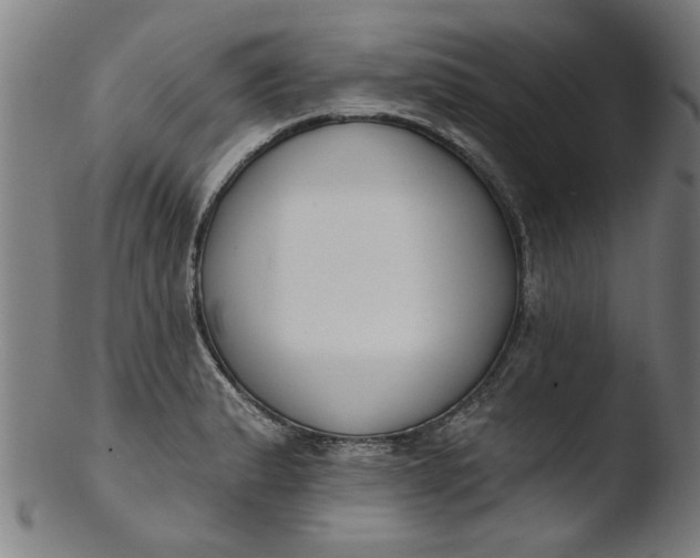 X0000103421183200809261700