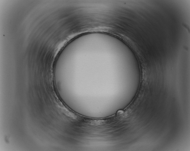 X0000103421184200809261700