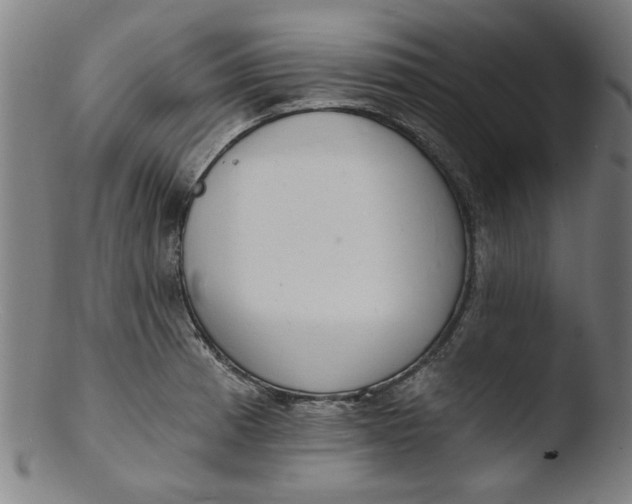 X0000103421185200809261700
