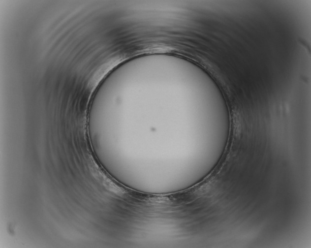 X0000103421186200809261659