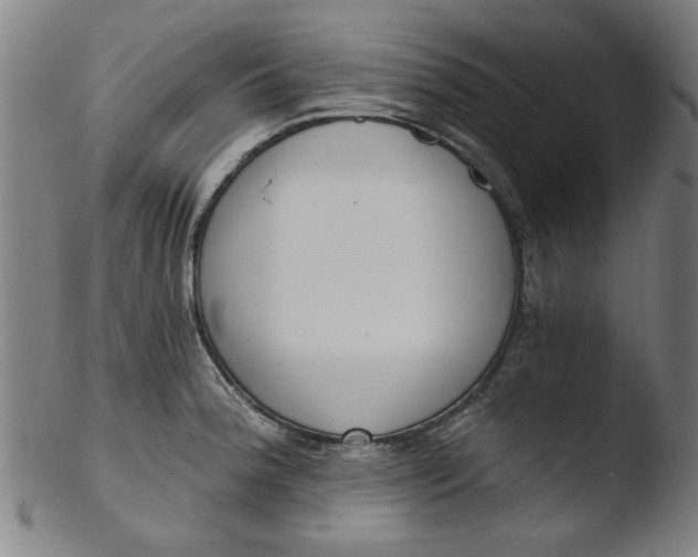 X0000103421188200809261659